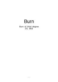 성인실습 화상환자 문헌고찰+ 간호과정2개 케이스스터디  burn 컨퍼런스 가성비 좋아요