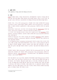 [화학과 수석의 A+ 레포트-조교피드백 포함] 유전자 증폭실험 (생화학실험)