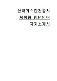 2024 한국가스안전공사 청년인턴 합격 자기소개서