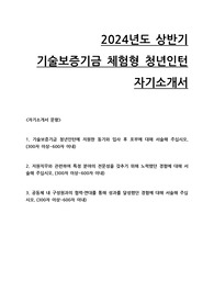 2024년도 상반기 기술보증기금 체험형 인턴 자기소개서