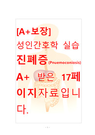 [A+보장]성인간호학 실습 진폐증(Pnuemoconiosis) 간호, 간호진단, 간호과정, 컨퍼런스, 케이스스터디 17페이지 자료