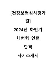 2024 하반기 건강보험심사평가원 체험형 인턴 합격 자기소개서