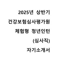 2025 상반기 건강보험심사평가원 인턴 심사직 자기소개서