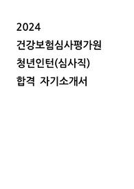 2024 하반기 건강보험심사평가원 인턴 심사직 합격 자기소개서