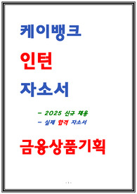 케이뱅크 인턴 자소서