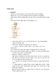 &lt;호르몬&gt; 고등학교 보고서