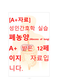 [A+자료]성인간호학 실습 폐농양(Abscess of lung) 간호, 간호진단, 간호과정, 컨퍼런스, 케이스스터디 12페이지 자료