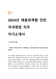 2024 E1 채용연계형 인턴 국내영업 자기소개서