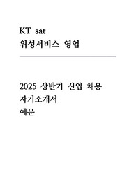 kt sat 2025년 상반기 신입 위성서비스영업 직무 지원 자기소개서