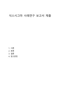 A+ 메가 생산관리 과제 - 식스시그마 사례연구 보고서 제출