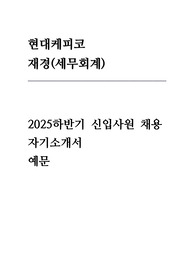 현대케피코 재경(세무회계) 자기소개서