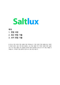 솔트룩스 면접후기