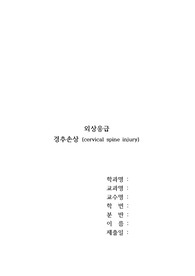 응급 및 재난간호 경추손상 환자 응급 처치 간호(건강사정, 현장, 병원 응급처지), 문헌고찰 포함