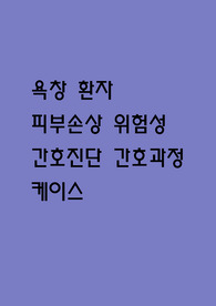 욕창 간호진단
