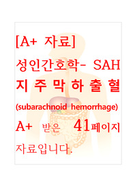[A+보장]성인간호학실습 지주막하출혈 (subarachnoid hemorrhage) 간호, 간호진단, 간호과정, 컨퍼런스, 케이스스터디 41페이지 자료
