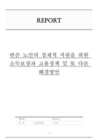 빈곤 노인의 경제적 지원을 위한 소득보장과 고용정책 및 또 다른 해결방안