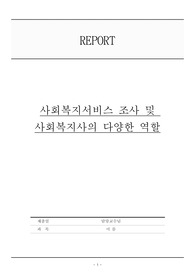 사회복지서비스 조사 및 사회복지사의 다양한 역할