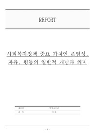 사회복지정책 중요 가치인 존엄성, 자유, 평등의 일반적 개념과 의미