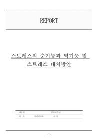 스트레스의 순기능과 역기능 및 스트레스 대처방안