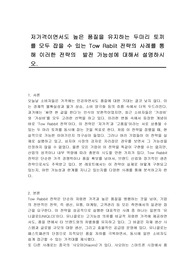 저가격이면서도 높은 품질을 유지하는 두마리 토끼를 모두 잡을 수 있는 Tow Rabiit 전략의 사례를 통해 이러한 전략의  발전 가능성에 대해서 설명하시오.