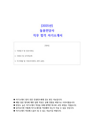 [2025년] 돌봄전담사 직무 합격 자소서