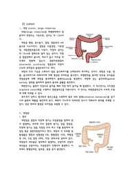 대장암 병태생리, 진단, 치료, 수술(LAR, AR, colectomy) case study