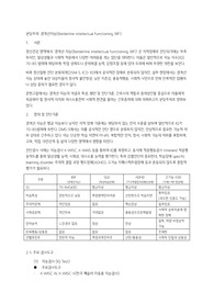 정신간호학 문헌고찰 - 경계선지능