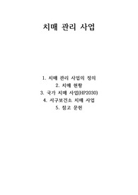 지역사회간호학실습 치매관리사업 보고서