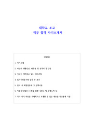 대학교 조교 직무 합격 자기소개서