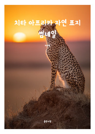 표지 썸네일  책표지 레포트 표지 동물 치타 아프리카 자연 동물 표지 5