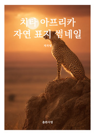 표지 썸네일  책표지 레포트 표지 동물 치타 아프리카 자연 동물 표지 6
