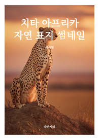 표지 썸네일  책표지 레포트 표지 동물 치타 아프리카 자연 동물 표지 7