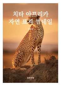 표지 썸네일  책표지 레포트 표지 동물 치타 아프리카 자연 동물 표지 8