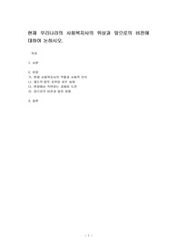 현재 우리나라의 사회복지사의 위상과 앞으로의 비전에 대하여 논하시오.