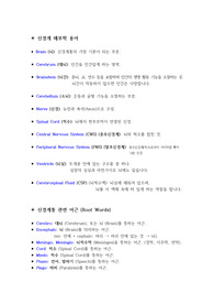 신경계 의학용어