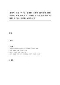 경제적 이윤 추구로 발생한 기업의 문제점에 대해 사례와 함께 설명하고, 이러한 기업의 문제점을 해결할 수 있는 방안을 설명하시오