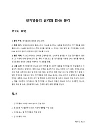 전기영동의 원리와 DNA 분리 [생명과학 세특, 통합과학, 수행평가, 심화탐구, 진로탐구 보고서]