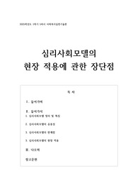 심리사회모델의 현장 적용에 관한 장단점