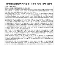 한국청소년상담복지개발원 채용형 인턴 청소년상담복지 경력기술서 자기소개서 직무수행계획 면접자료
