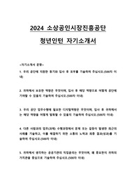 2024 소상공인시장진흥공단 청년인턴 합격 자기소개서