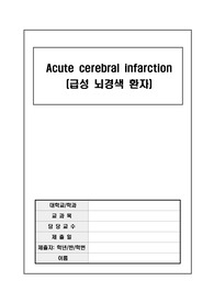 급성 뇌경색 간호과정