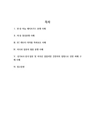국가 간 통상분쟁 사례 (A+ 리포트)
