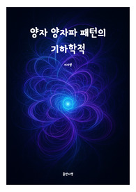 양자 양자파 패턴의 기하학적 과학 책표지 18