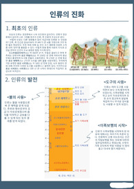 인류의 진화에 관하여(생명, 과학 세특, 주제탐구보고서)