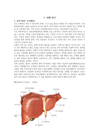 응급간호학실습 케이스스터디_사례분석보고서