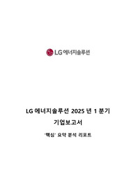 LG에너지솔루션 2025년1분기 핵심요약보고서