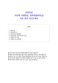 2025년 아모텍 국내영업 경력직(대리직급) 직무 합격 자소서