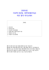 2025년 아모텍 전산팀 경력직(대리직급) 직무 합격 자소서