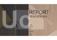 간호학개론 간호의 역사~최근 전망 정리본