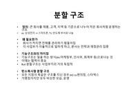 분할구조 정리 피피티